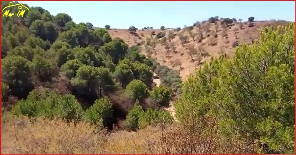 Terreno Agricola ou Rústico para Venda em Odeleite Foto 11
