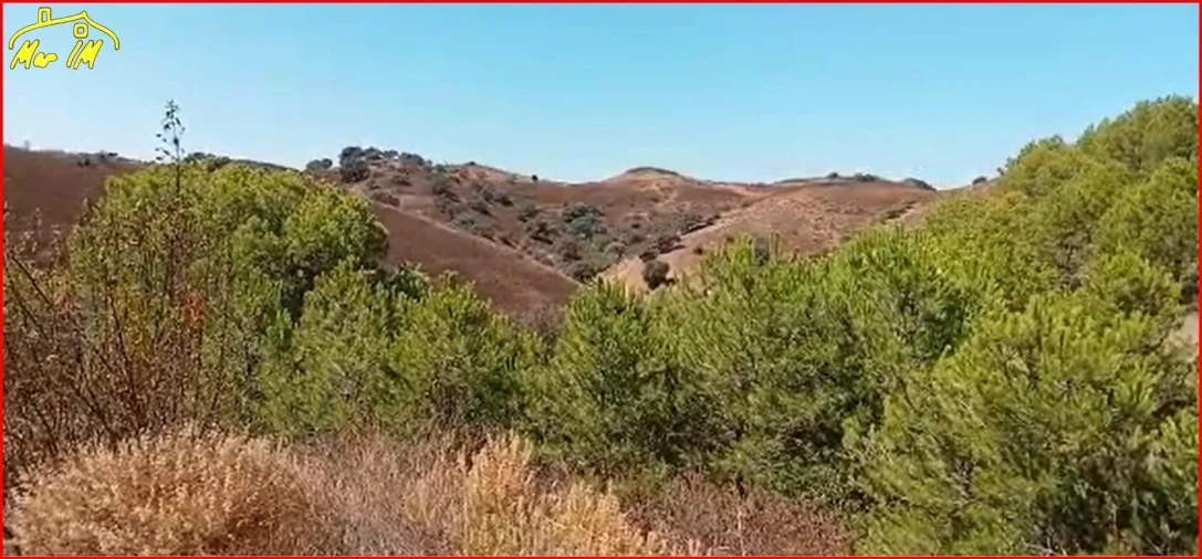 Terreno Agricola ou Rústico para Venda em Odeleite Foto 13