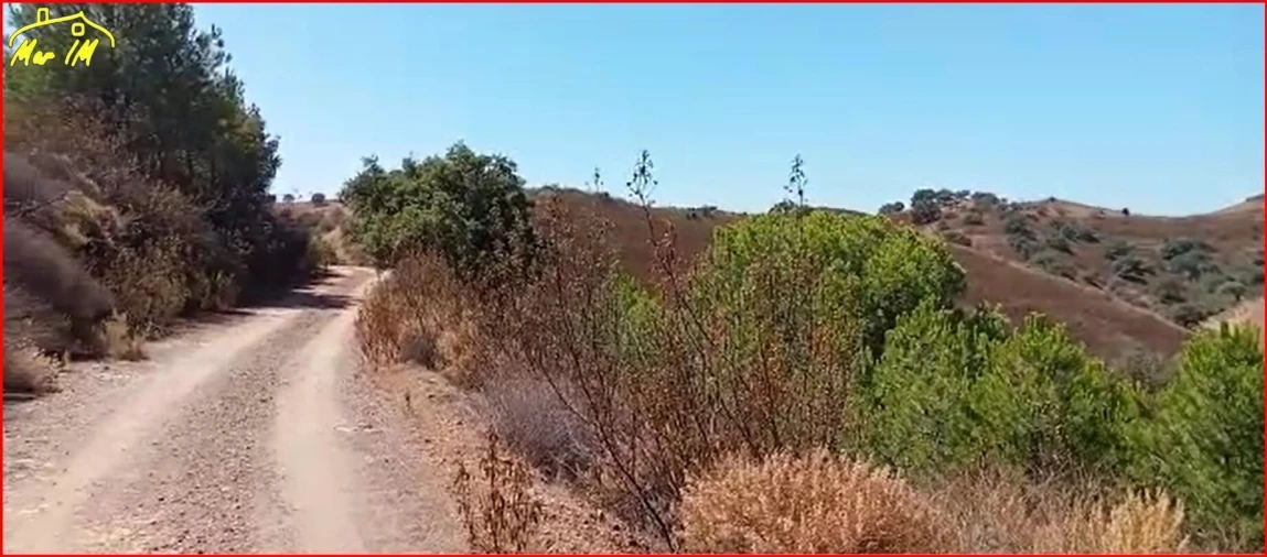 Terreno Agricola ou Rústico para Venda em Odeleite Foto 14