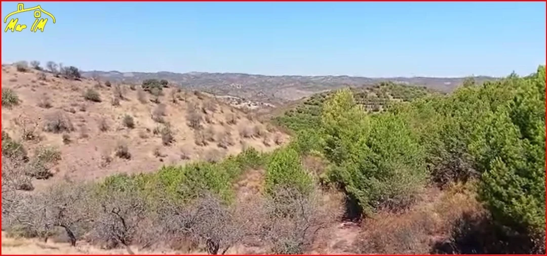 Terreno Agricola ou Rústico para Venda em Odeleite Foto 15