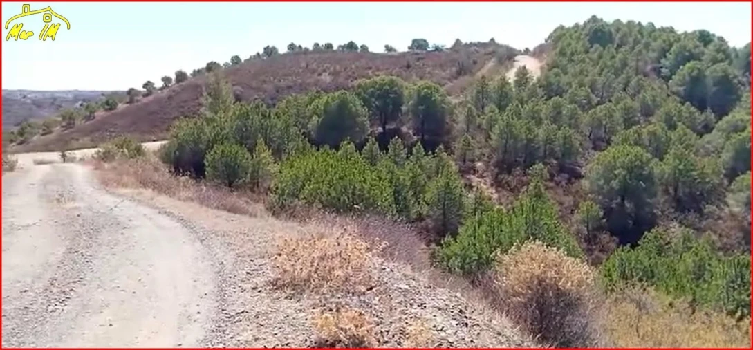 Terreno Agricola ou Rústico para Venda em Odeleite Foto 16