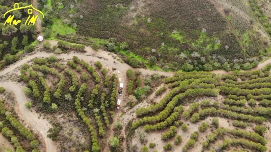 Terreno Agricola ou Rústico para Venda em Odeleite Foto 21