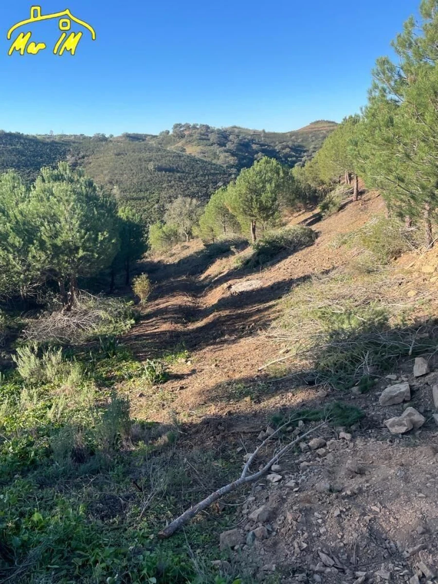 Terreno Agricola ou Rústico para Venda em Odeleite Foto 23