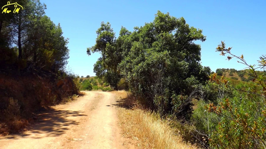 Terreno Agricola ou Rústico para Venda em Odeleite Foto 49