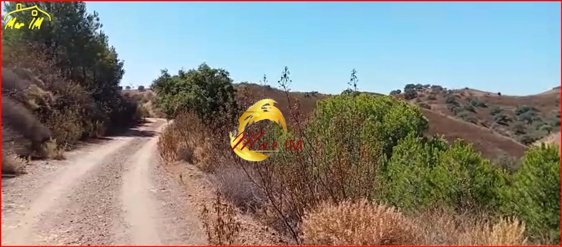 Terreno Agricola ou Rústico para Venda em Odeleite Foto 14