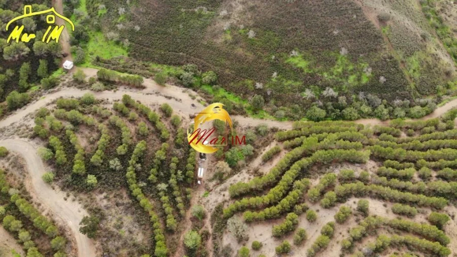 Terreno Agricola ou Rústico para Venda em Odeleite Foto 21