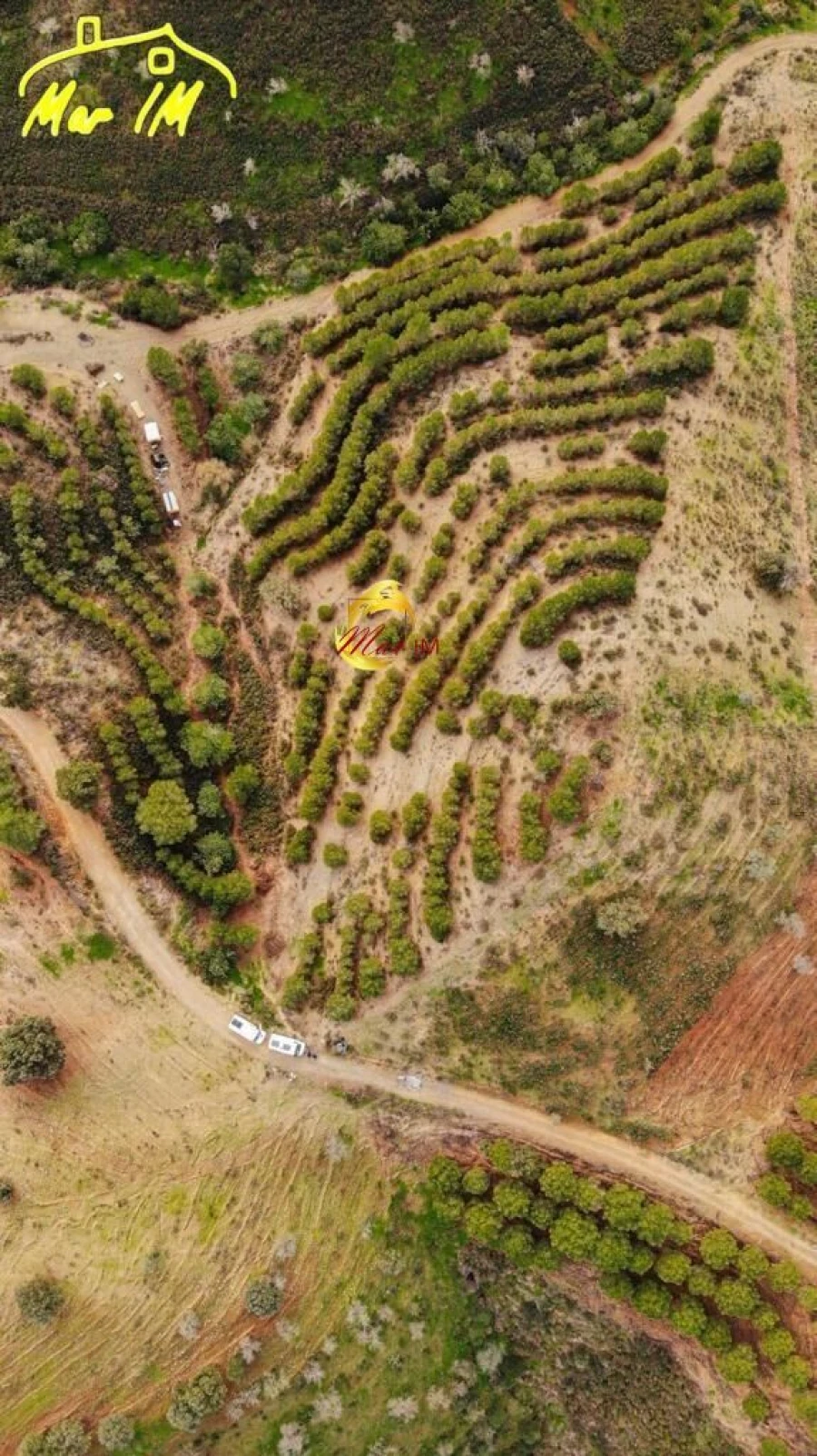Terreno Agricola ou Rústico para Venda em Odeleite Foto 22