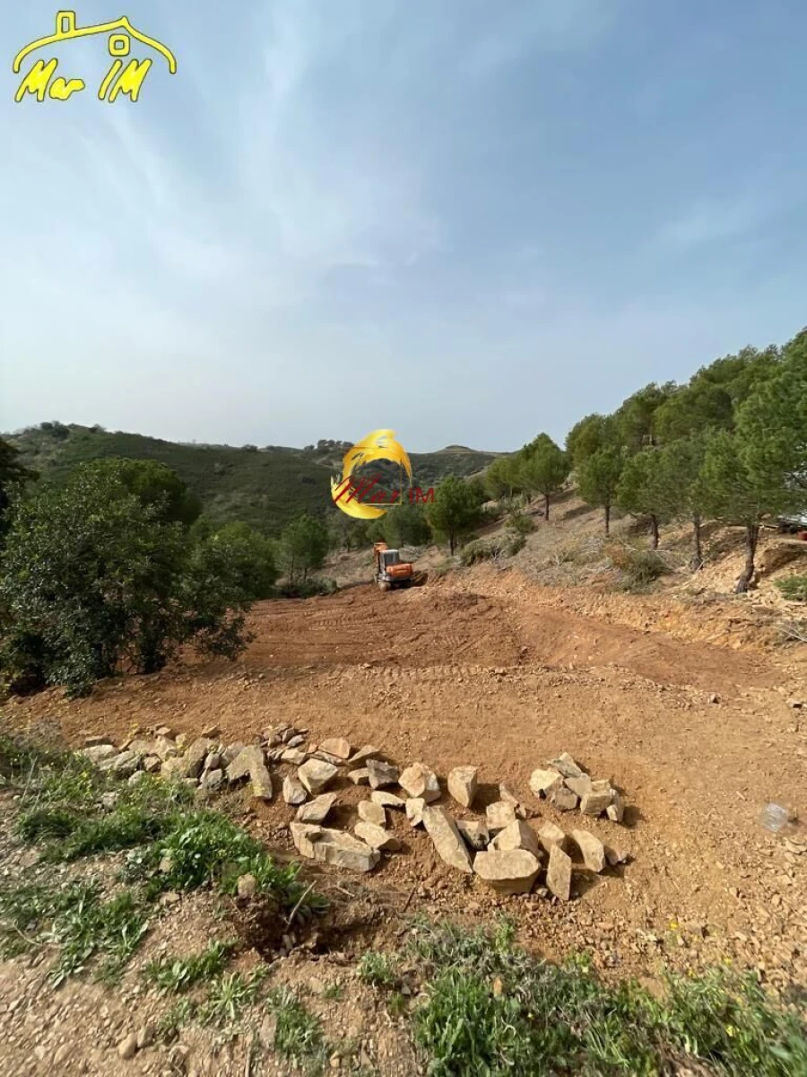 Terreno Agricola ou Rústico para Venda em Odeleite Foto 25