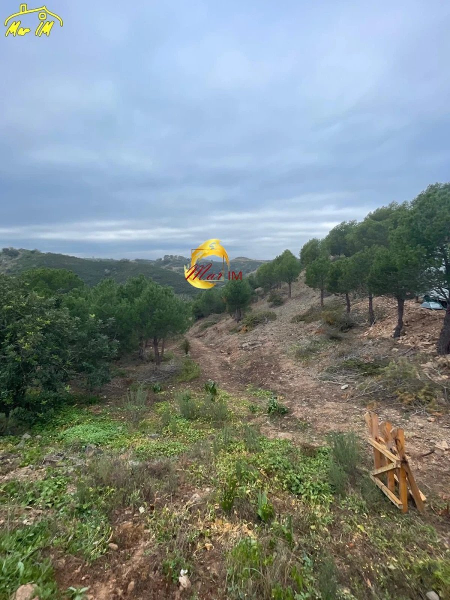Terreno Agricola ou Rústico para Venda em Odeleite Foto 29