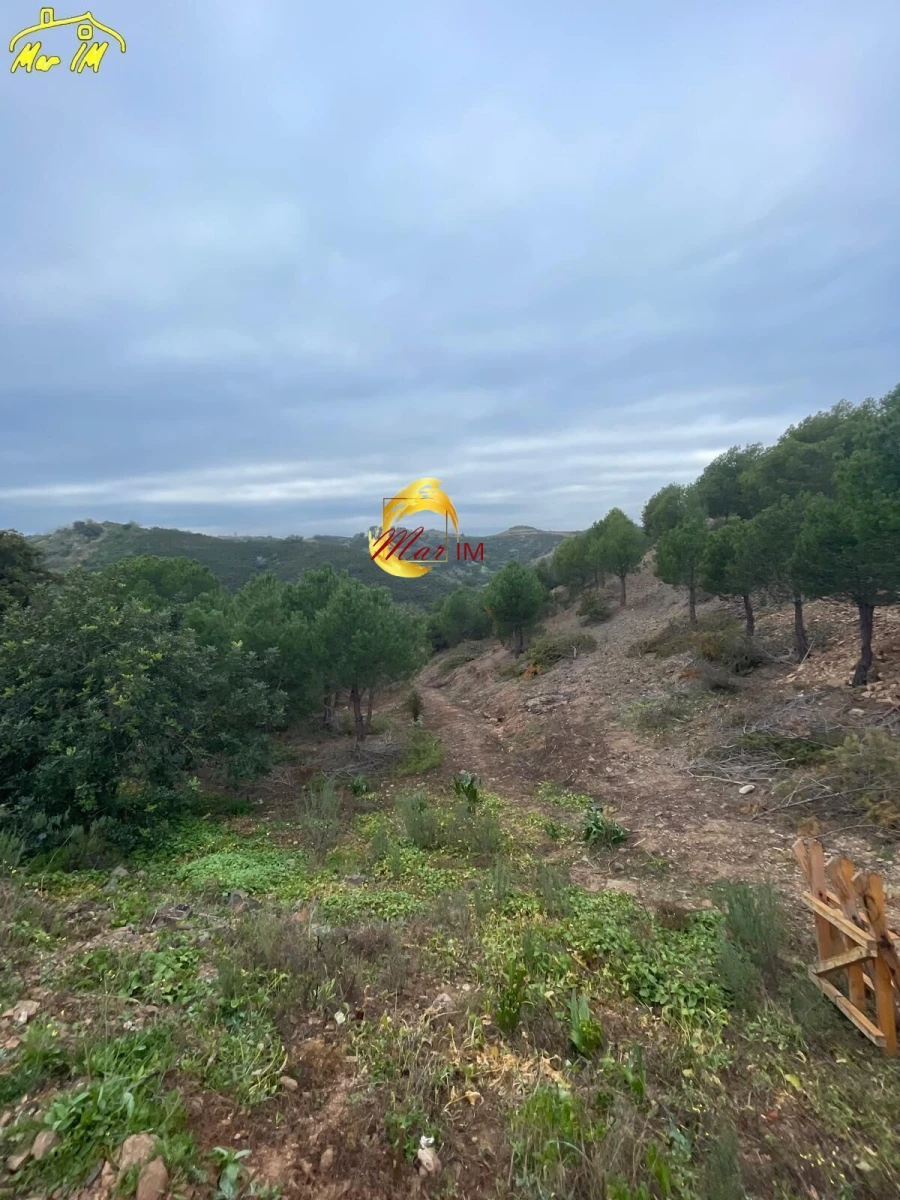 Terreno Agricola ou Rústico para Venda em Odeleite Foto 36