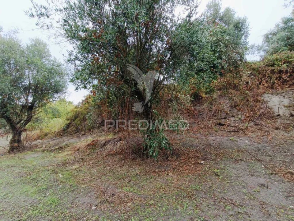 Moradia T1 para Venda em Seiça Foto 18