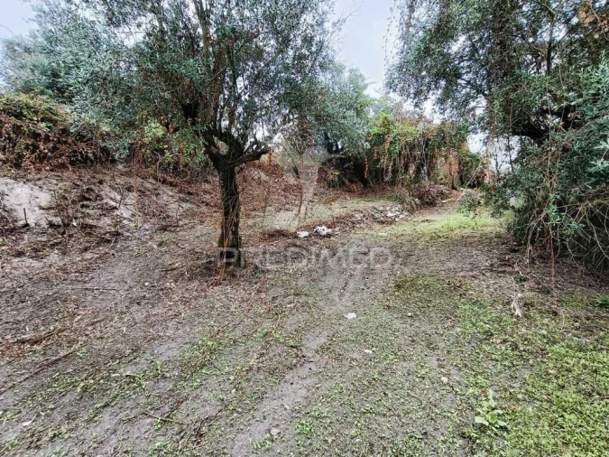 Moradia T1 para Venda em Seiça Foto 17