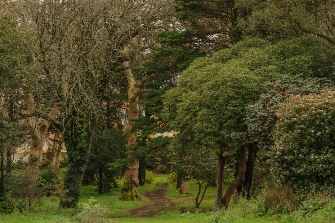 Quinta T32 para Venda em Agualva e Mira-Sintra Foto 49