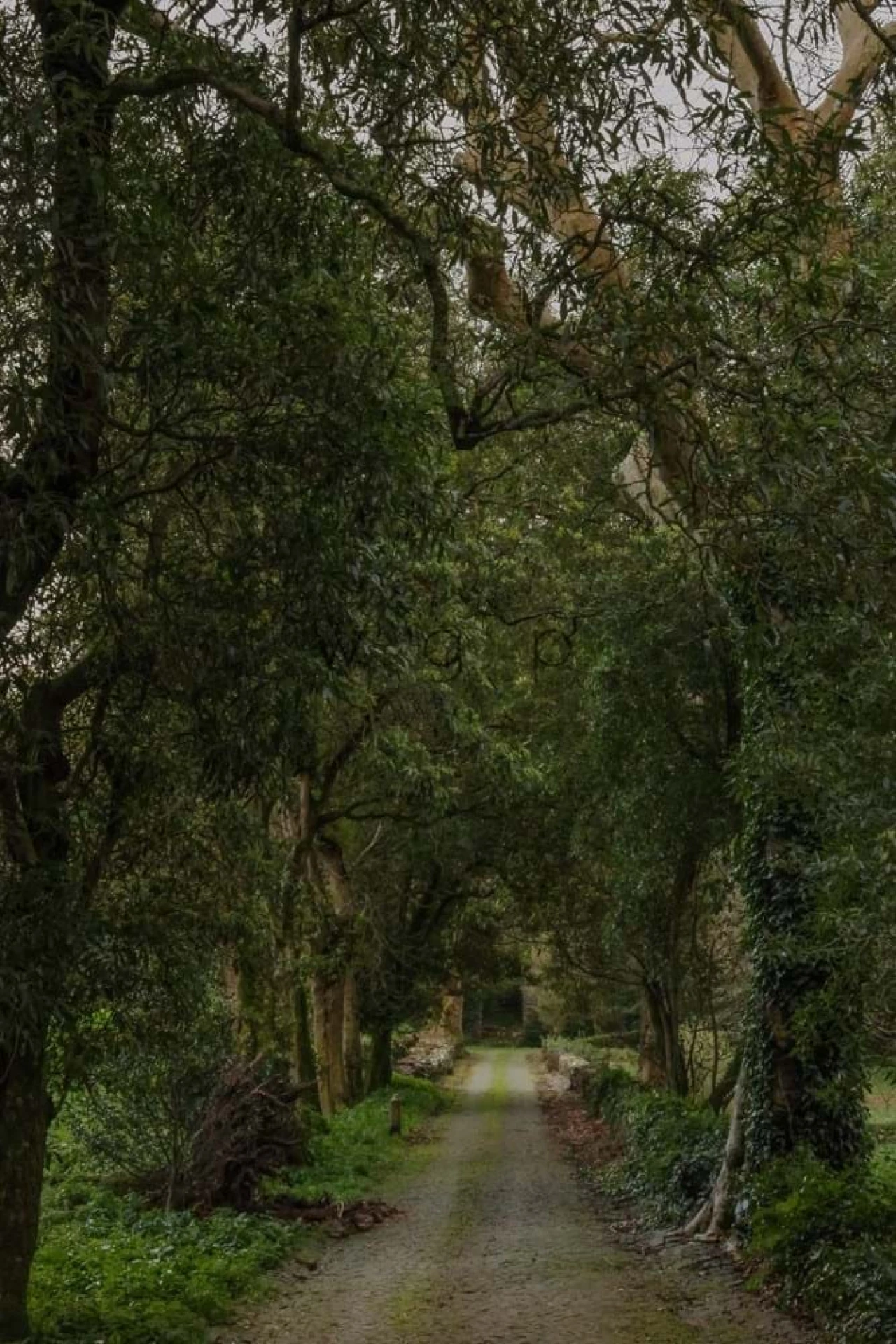 Quinta T32 para Venda em Agualva e Mira-Sintra Foto 51