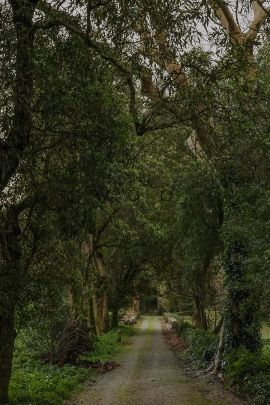 Quinta T32 para Venda em Agualva e Mira-Sintra Foto 51