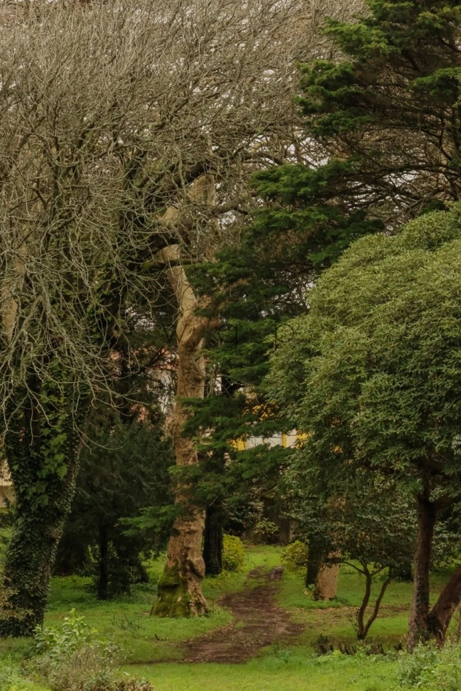 Quinta T32 para Venda em Agualva e Mira-Sintra Foto 48