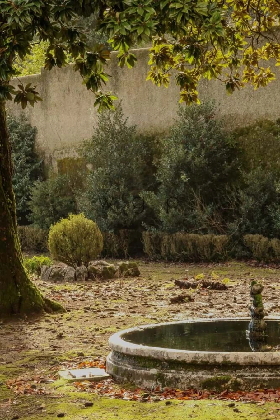 Quinta T32 para Venda em Agualva e Mira-Sintra Foto 37