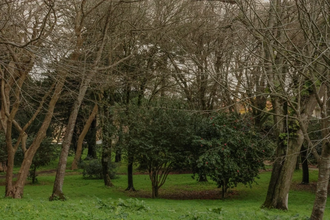 Quinta T32 para Venda em Agualva e Mira-Sintra Foto 50