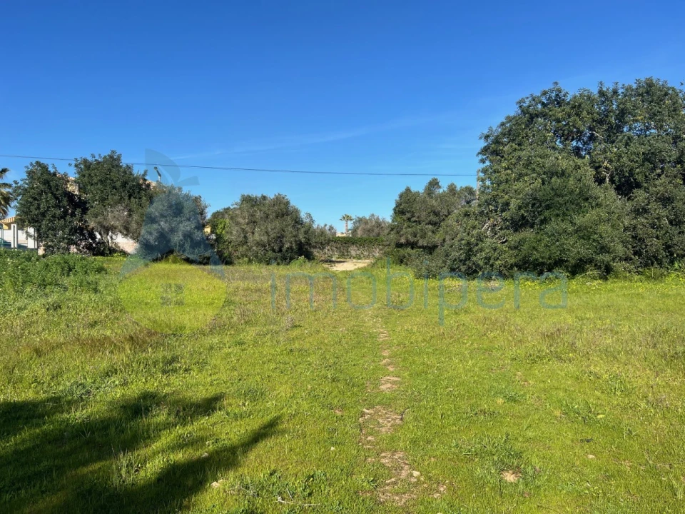 Terreno Agricola ou Rústico para Venda em Albufeira e Olhos de Água Foto 8
