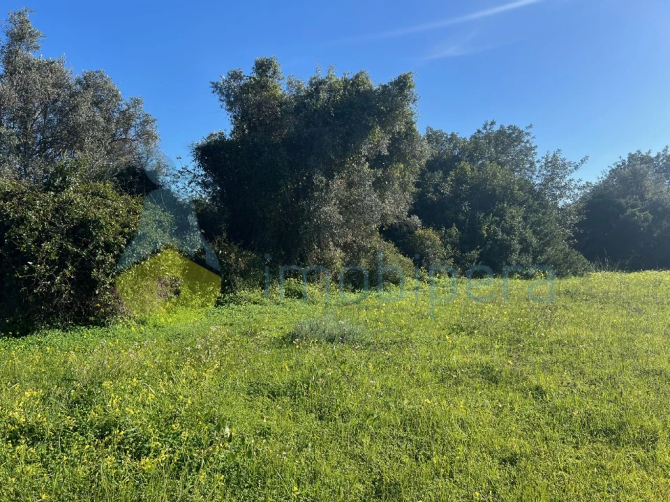 Terreno Agricola ou Rústico para Venda em Albufeira e Olhos de Água Foto 11