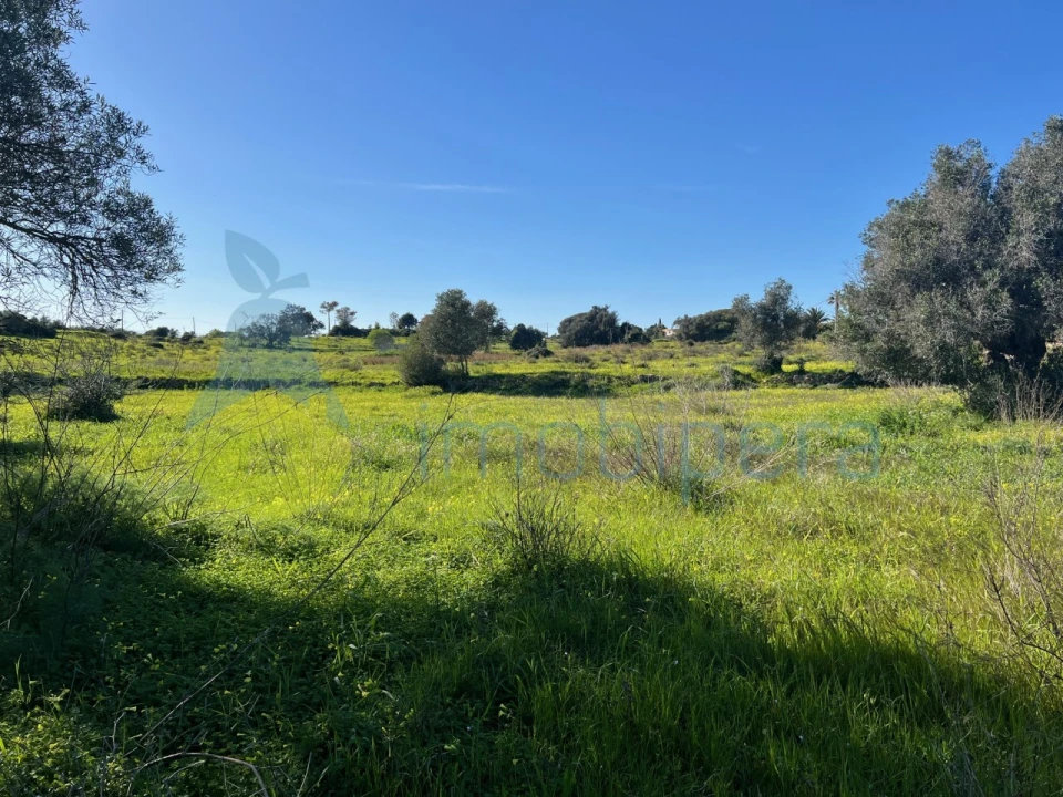 Terreno Agricola ou Rústico para Venda em Albufeira e Olhos de Água Foto 12