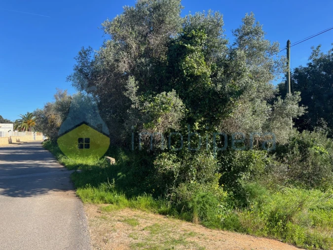 Terreno Agricola ou Rústico para Venda em Albufeira e Olhos de Água Foto 2