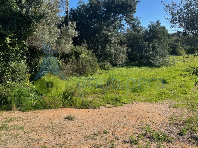 Terreno Agricola ou Rústico para Venda em Albufeira e Olhos de Água Foto 5
