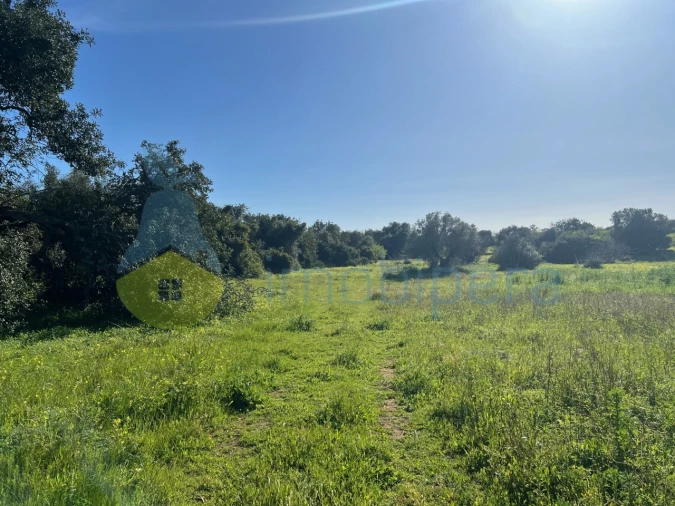 Terreno Agricola ou Rústico para Venda em Albufeira e Olhos de Água Foto 7