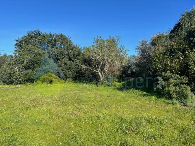 Terreno Agricola ou Rústico para Venda em Albufeira e Olhos de Água Foto 9