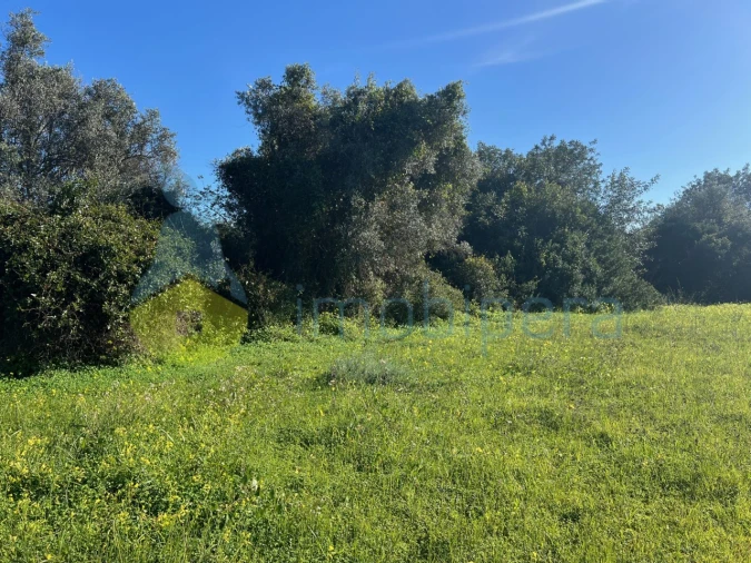 Terreno Agricola ou Rústico para Venda em Albufeira e Olhos de Água Foto 11