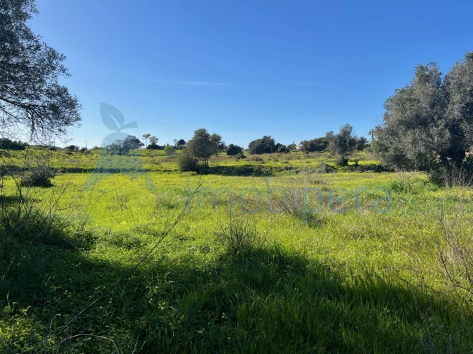 Terreno Agricola ou Rústico para Venda em Albufeira e Olhos de Água Foto 12