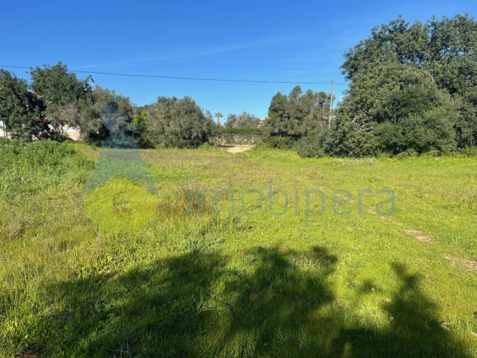 Terreno Agricola ou Rústico para Venda em Albufeira e Olhos de Água Foto 13