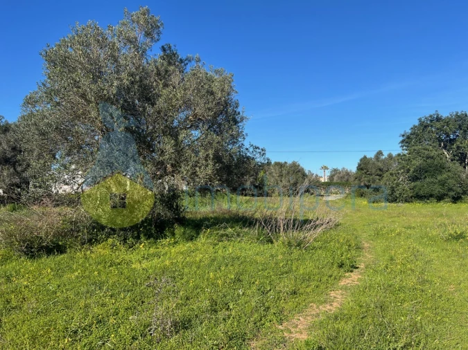 Terreno Agricola ou Rústico para Venda em Albufeira e Olhos de Água Foto 14