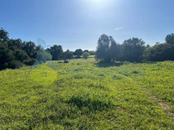 Terreno Agricola ou Rústico para Venda em Albufeira e Olhos de Água Foto 16