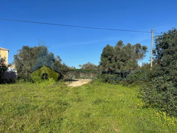 Terreno Agricola ou Rústico para Venda em Albufeira e Olhos de Água Foto 17