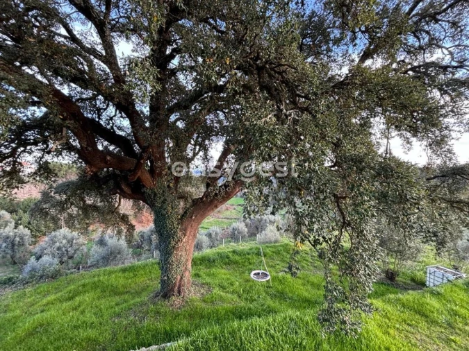 Quinta T4 para Venda em Parada de Gonta Foto 24