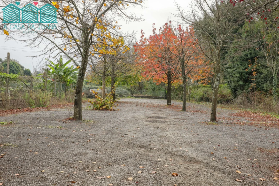 Negócio para Venda em Albergaria-A-Velha e Valmaior Foto 32