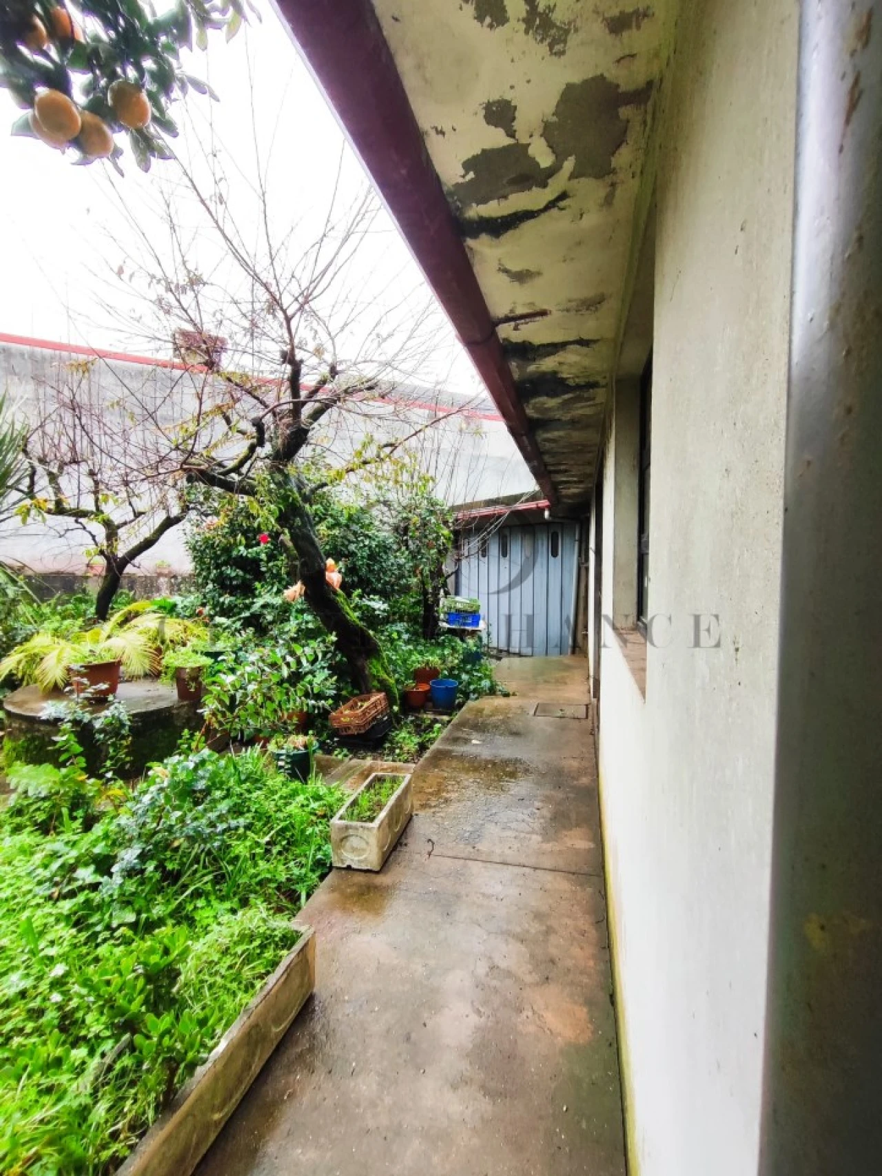 Moradia T6 para Venda em Argoncilhe Foto 25