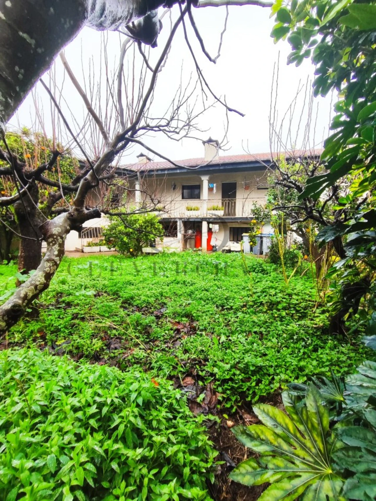 Moradia T6 para Venda em Argoncilhe Foto 34