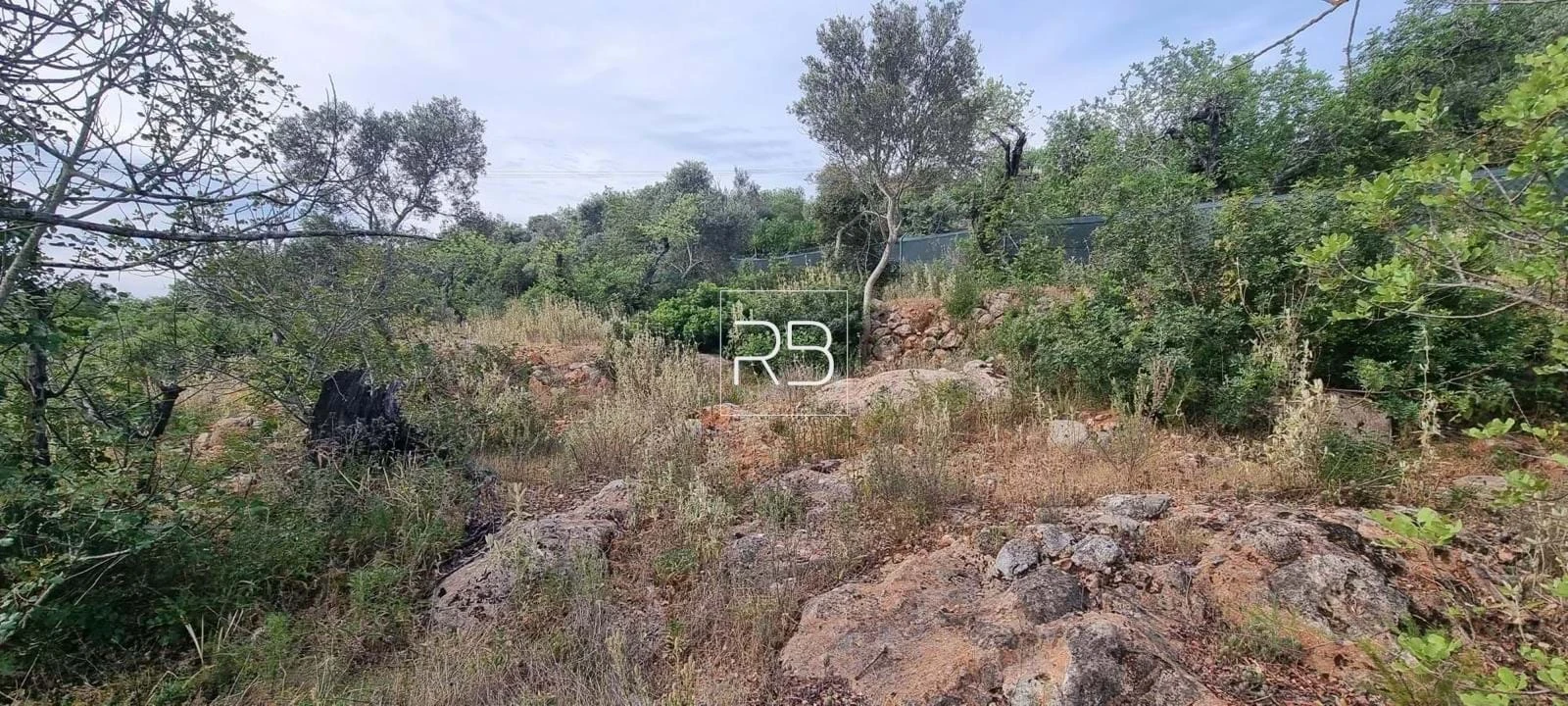 Terreno para Venda em Loule (São Sebastião) Foto 3
