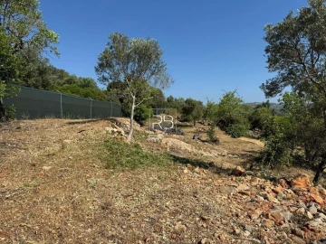 Terreno para Venda em Loule (São Sebastião)