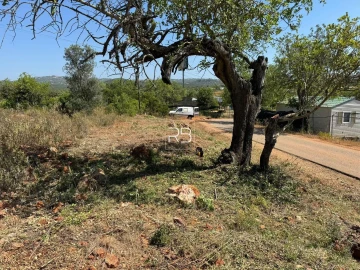 Terreno para Venda em Loule (São Sebastião)