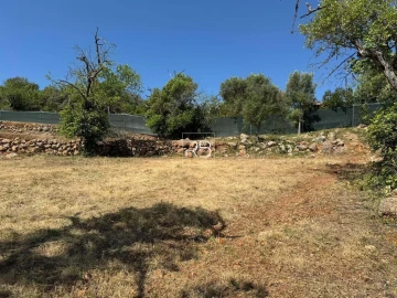 Terreno para Venda em Loule (São Sebastião)