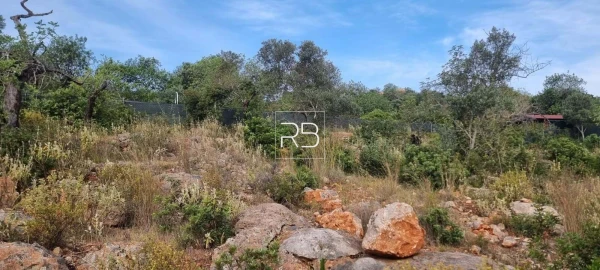 Terreno para Venda em Loule (São Sebastião)