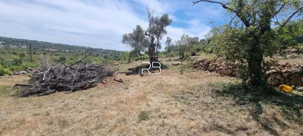 Terreno para Venda em Loule (São Sebastião)