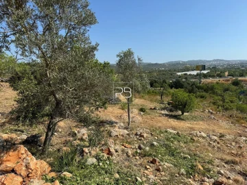 Terreno para Venda em Loule (São Sebastião)