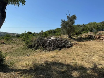 Terreno para Venda em Loule (São Sebastião)