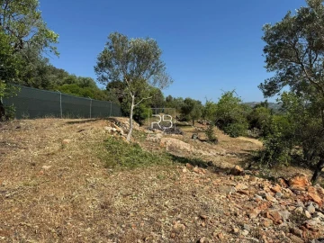Terreno para Venda em Loule (São Sebastião)
