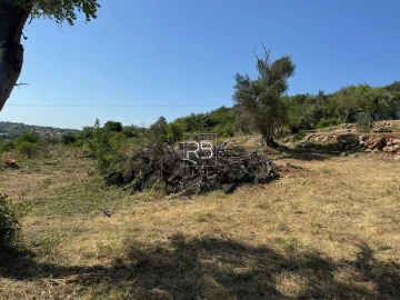 Terreno para Venda em Loule (São Sebastião)