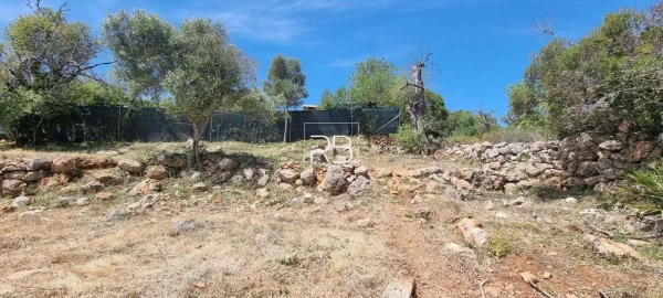 Terreno para Venda em Loule (São Sebastião)
